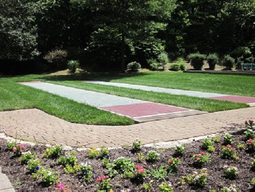 Shuffleboard Shuffleboard